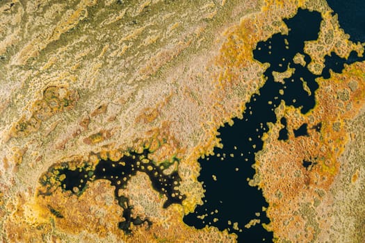 Miory District, Vitebsk Region, Belarus. The Yelnya Swamp. Upland And Transitional Bogs With Numerous Lakes. Elevated Aerial View Of Yelnya Nature Reserve Landscape. Famous Natural Landmark.