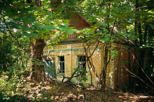 Belarus. Abandoned House Overgrown With Trees And Vegetation In Chernobyl Resettlement Zone. Chornobyl Catastrophe Disasters. Dilapidated House In Belarusian Village. Whole Villages Must Be Disposed.