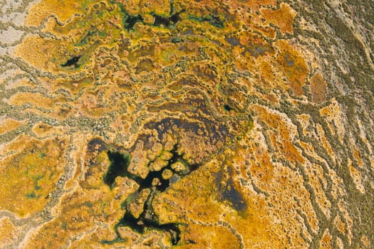 Miory District, Vitebsk Region, Belarus. The Yelnya Swamp. Upland And Transitional Bogs With Numerous Lakes. Elevated Aerial View Of Yelnya Nature Reserve Landscape. Famous Natural Landmark.
