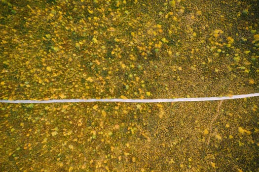 Miory District, Vitebsk Region, Belarus. The Yelnya Swamp. Aerial View Of Yelnya Nature Reserve Landscape. Narrow Wooden Hiking Trail Winding Through Marsh. Cognitive Boardwalk Trail Over A Wetland.