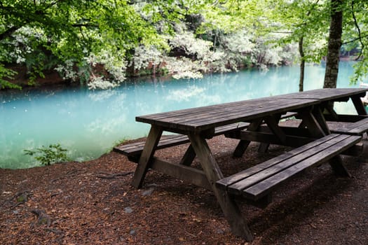 closeup of wooden sitting bench by a lake surrounded by beautiful green forest in Yedigoller National Park Turkey with no people