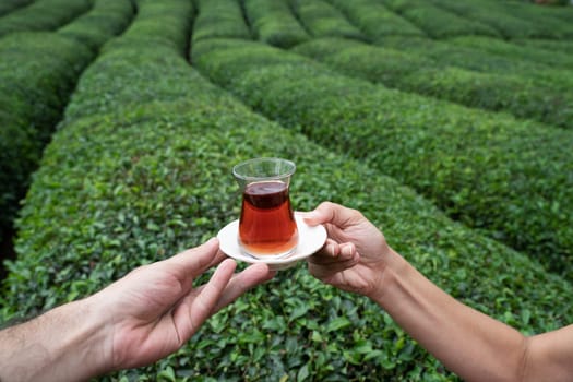 front view closeup of two people enjoying a traditional glass of Turkish black tea with rows of tea plantations on green terraced hills in the background