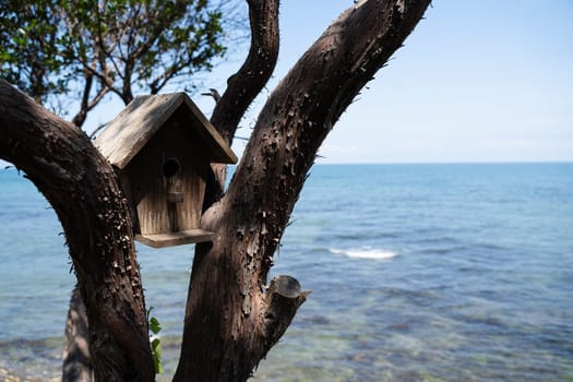 front view closeup of nest box bird wooden house on a tree near the sea