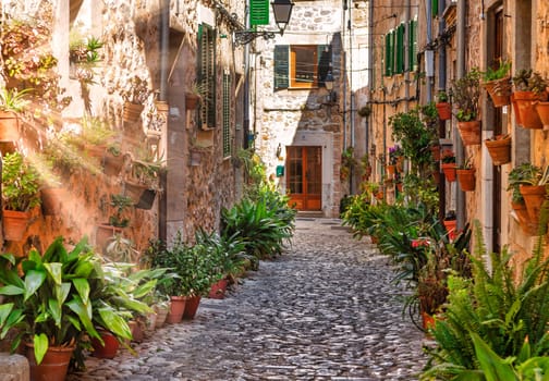 Valldemossa plant street alley with sun flare during summer