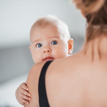Portrait of sweet baby resting in mothers arms, looking at camera, touching mama shoulder. New mom holding little kid, embracing child with tenderness, love, care. Motherhood concept.