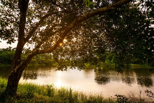 View of landscape nature and river and mountain in evening light
