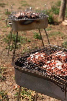 Fresh octopuses on the charcoal grill, Italy. Traditional Mediterranean cuisine. Grilling seafood outdoor with friends during summer time. Rustic style grilled octopus bbq