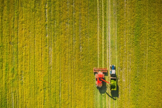 Aerial View Of Rural Landscape. Combine Harvester And Tractor Working Together In Field. Harvesting Of Oilseed In Spring Season. Agricultural Machines Collecting Blooming Rapeseeds Canola Colza. Elevated View.