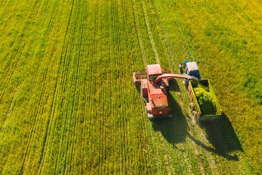 Aerial View Of Rural Landscape. Combine Harvester And Tractor Working Together In Field. Harvesting Of Oilseed In Spring Season. Agricultural Machines Collecting Blooming Rapeseeds Canola Colza. Elevated View.