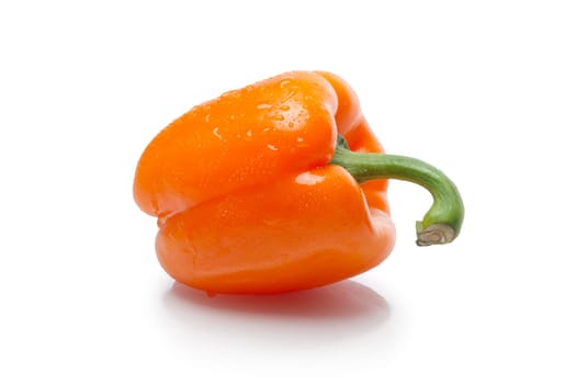 Sweet bell pepper with shadow on white background.