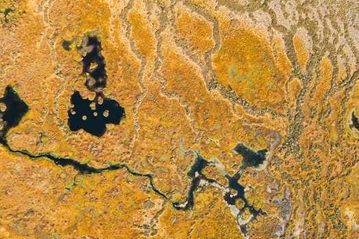 Miory District, Vitebsk Region, Belarus. The Yelnya Swamp. Upland And Transitional Bogs With Numerous Lakes. Elevated Aerial View Of Yelnya Nature Reserve Landscape. Famous Natural Landmark.