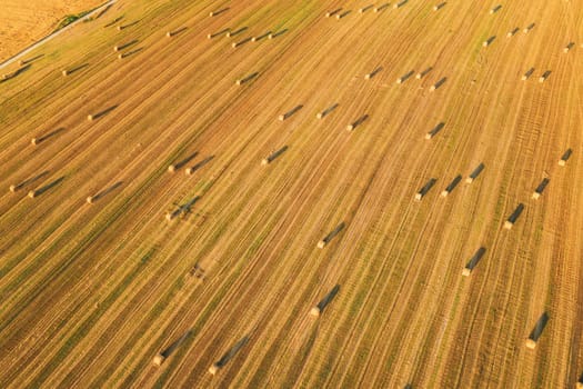Aerial View Of Summer Hay Rolls Straw Field Landscape In Evening. Haystack, Hay Roll in Sunrise Time. Natural Agricultural Background Backdrop Harvest Season