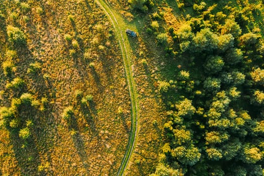 Aerial View Of Car Near Country Road Thgrough Forest And Green Meadow Landscape In Sunny Summer Morning. Top View Of Beautiful European Nature From High Attitude.