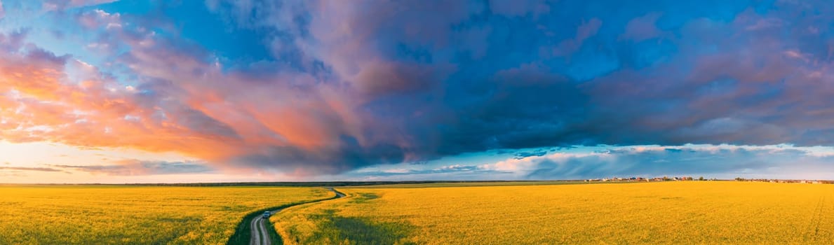 Aerial View Of Car SUV Parked Near Countryside Road In Spring Field Rural Landscape. Flowering Blooming Rapeseed, Oilseed In Field Meadow In Spring Season. Blossom Of Canola Yellow Flowers.
