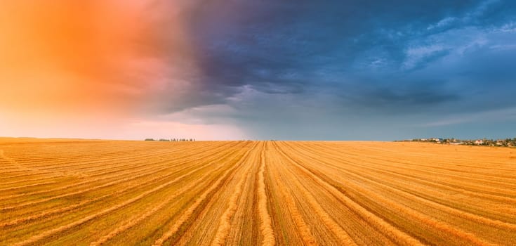 Aerial View Of Sunset Sunrise Bright Sky Above Summer Hay Field Landscape In Evening Sunset. Cut Dry Grass Turned Into Straw Has Not Yet Been Removed From Field. Panorama.