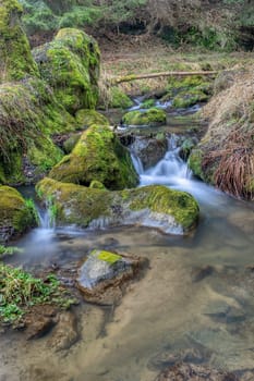 Small forest creek in a woodland, long exposure photo, Vysocina, Highland Czech Republic, Europe