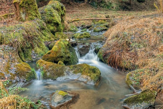 Small forest creek in a woodland, long exposure photo, Vysocina, Highland Czech Republic, Europe
