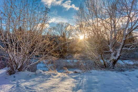 The cool winter morning landscape, Jihlava Vysocina, Czech Republic Europe