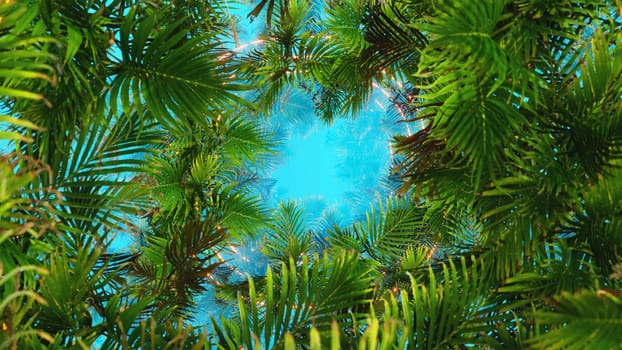 3D illustration Background for advertising and wallpaper in nature and summer scene. 3D rendering in decorative concept.