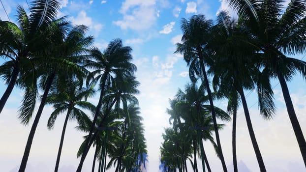 3D illustration Background for advertising and wallpaper in nature and advertising scene. 3D rendering in decorative concept