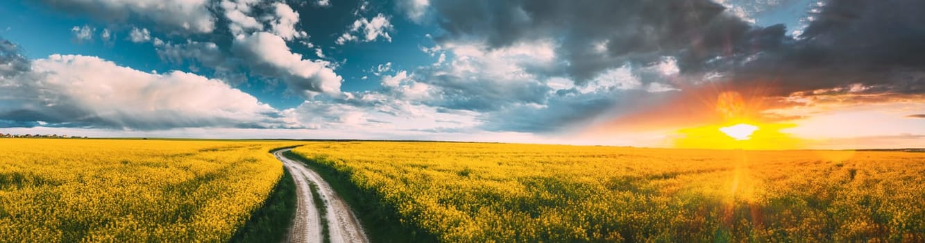 Elevated View Of Sunshine During Sunset Above Rural Landscape With Blooming Canola Colza Flowers. Sun Shining In Dramatic Sky At Sunrise Above Spring Agricultural Rapeseed Field And Country Road. Panorama.