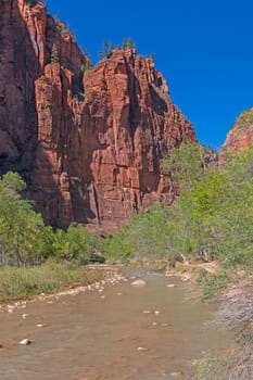The Virgin River Heading Into a Steep Canyon in Zion National Park in Utah