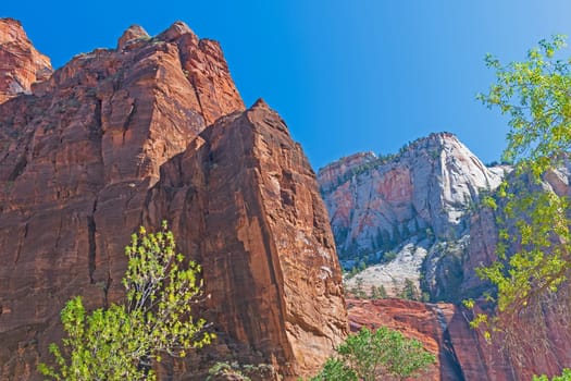 Dramatic Cliffs in the Narrows of Zion in Zion National Park in Utah
