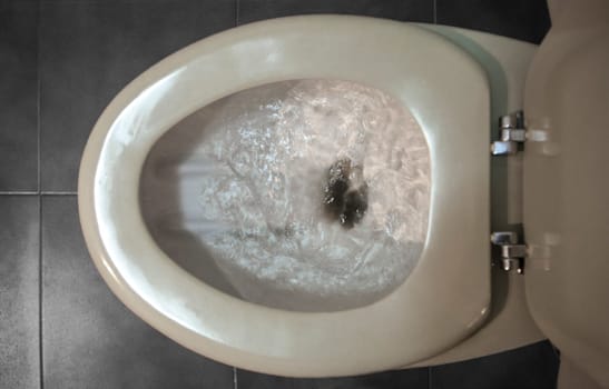 Old regular toilet flushing excessive use of water. Low-efficiency toilets