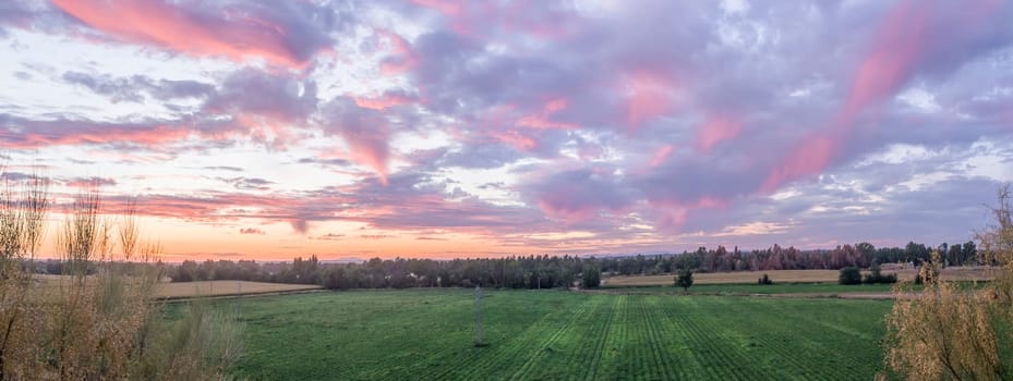 Afterglow clouds over tomato field. Vegas Bajas del Guadiana, Badajoz, Spain