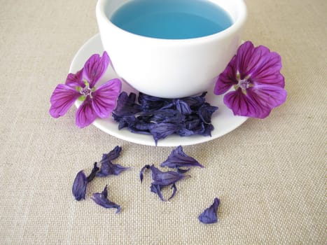 Blue mallow tea, tea from dried mallow flowers