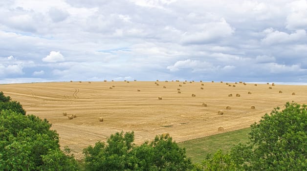 Cornfields on which bales of straw remain after harvest. Wheat was harvested. Food and fodder for livestock. Landscape shot of fields and meadows with trees and path.