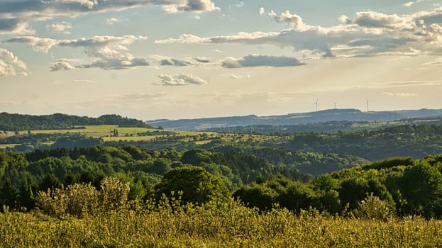 A sunny day in Saarland with a view over meadows into the valley. Some sunny clouds in the sky and cows grazing. A moment to linger, rest and enjoy