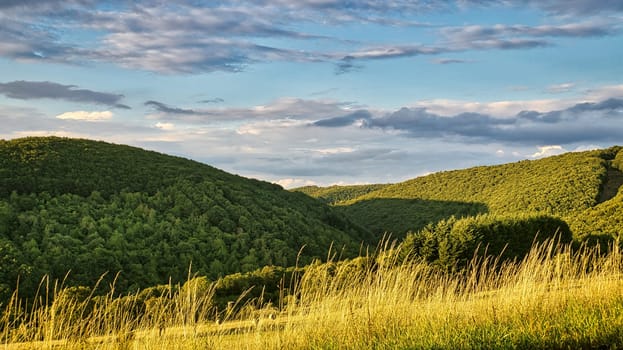 Sunset in Saarland on a meadow with trees and view into the valley. a warm light mood in orange, red and gold