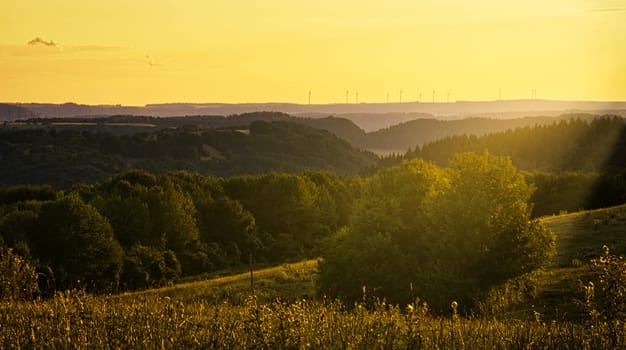 SONY Sunset in Saarland on a meadow with trees and view into the valley. a warm light mood in orange, red and gold