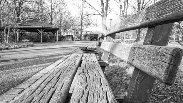 Park bench in black and white in the park. Bench made of wood. Resting after a walk. Photo from nature