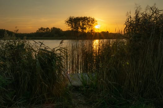 Sunset over a calm lake with a pier and tall reeds