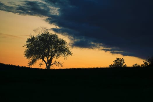 Sunset in Saarland with a tree against which a ladder is leaning. dramatic sky . calm and lonely light atmosphere