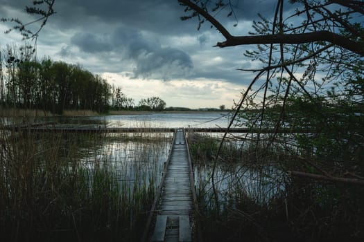 A narrow pier in the reeds of the lake and the cloudy sky, Stankow, Poland