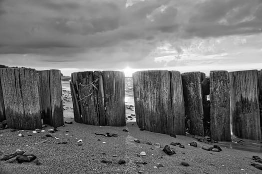 in black and white, groynes jutting into the sea, at sunset. Beach with stones in the foreground. taken in zingst on the darss. the perspective is directed to the horizon
