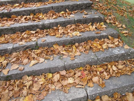 Autumn leaves on stairs