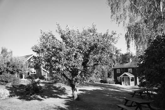 Swedish in black and white shot. tratitional house in Smalland, White fence green garden blue sky. Childhood memories from the vacations in Sweden. Nature photo from Scandinavian landscape.