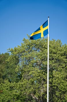 Sweden flag on flagpole on a farm in front of a tree in Smalland. The blue and yellow flag is flying in the wind. Detail shot