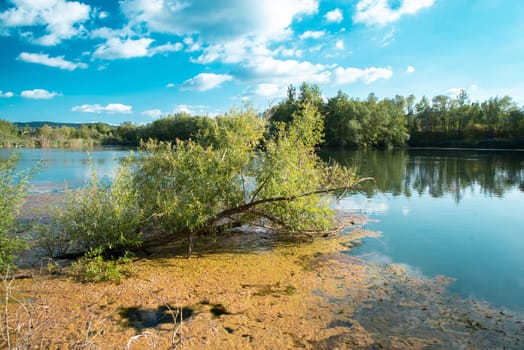 Biodiversity Haff Reimech, wetland and nature reserve in Luxembourg, pond surrounded by reed and trees, bird watching observation point