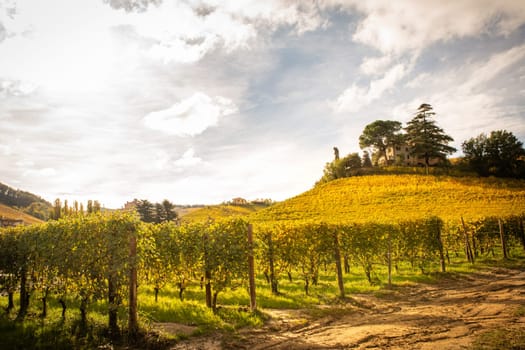 Barolo wine region, Langhe, Piedmont, Italy