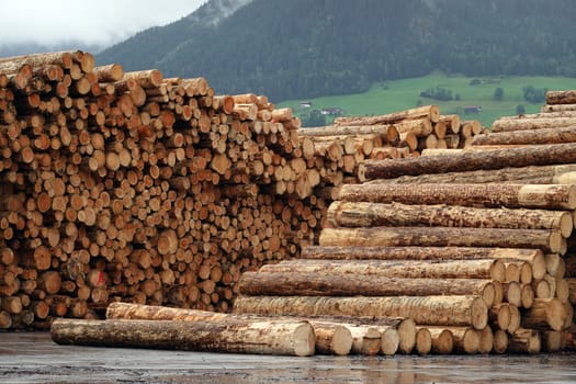 Rundholzlager und Verarbeitung im Sägewerk der Binderholz GmbH, Tirol, Oesterreich, Fuegen