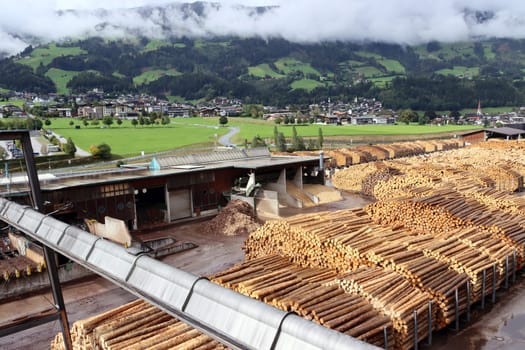 Rundholzlager und Verarbeitung im Sägewerk der Binderholz GmbH, Tirol, Oesterreich, Fuegen