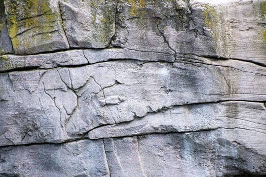 artificial gray rock face with cracks and moss overgrown as background