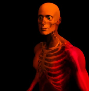 An x ray image of a man in which you can see the Skelton under the skin.