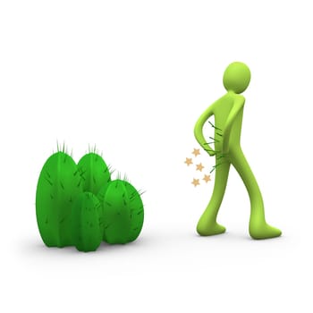 Mind the cactus.