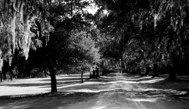 Country road